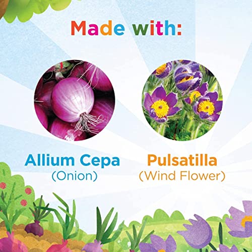 Hyland's Naturals Kids Organic Elderberry Plus Gummies + 4Kids Cold & Cough, Daytime (4 Fl. Oz.) & Nighttime (4 Fl. Oz.) Value Pack, Cough Syrup - 48 Vegan Kids Gummies + 8Oz. Cold & Cough Syrup #TOP6