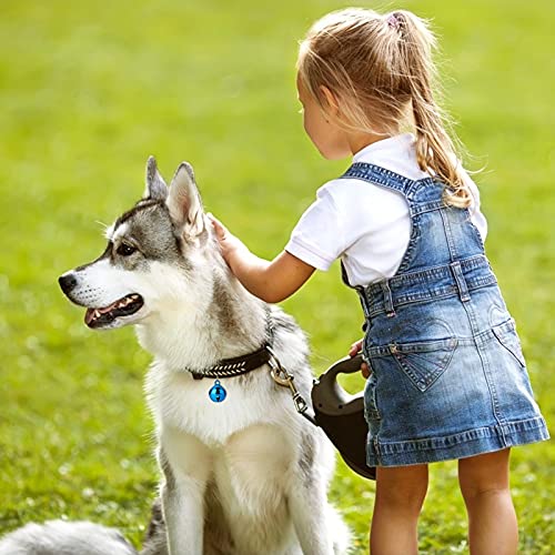 Molain 514166_1-TYLUS-QX 10 Pcs Cat Dog Collar Bells thumb #4