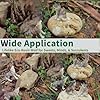 Woodland Wolf Figurines Small Diorama Supplies Mini Wolf Figures Miniature with Model Trees Kit, Wolves Coyote Forest Animals Miniature Wolf Pack for Cake Toppers Terrarium Landscape Decor 12Pcs #4