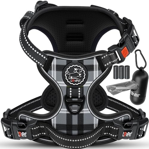 Haoyueer Hundehalsband L – Atmungsaktives Mesh, Gepolstert, Reflektierend, Für Große Hunde