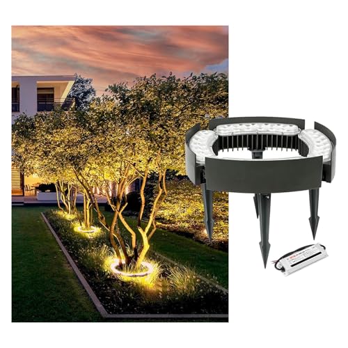 Projecteur LED extérieur pour palmier et terrasse lumineuse chaleureuse