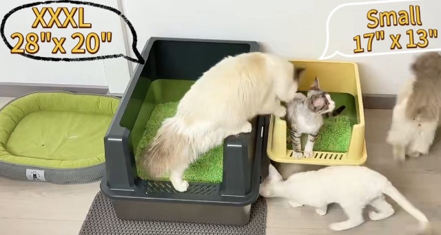 Stainless Steel Metal Litter Box for Kittens & Small Cats, 11.8" High Sides Prevent Litter Scatter, Open Top Litter Pan Anti-Leak & Easy Clean, Compact Space-Saving Size 17.3x13.4x11.8 Inches - image 8