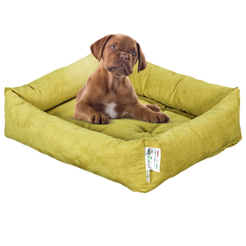 Evergreenweb Cama para Perro, Verde 45x65 Sofá para Perro, Alfombrilla para Perro, Cesta para Perro, Acogedora Cama para Mascotas en la Habitación Borde Elevado, con Suave cojín Desmontable - Rex