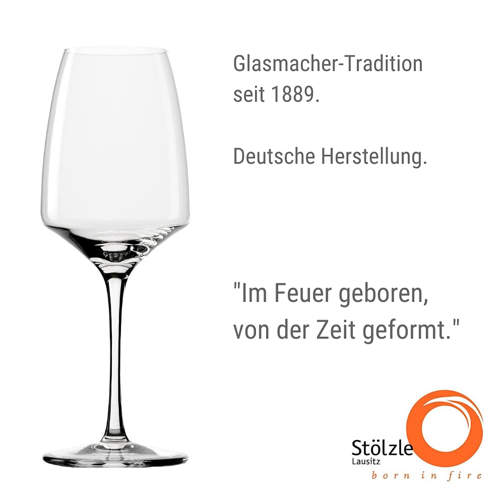 Stolzle Experience Red Wine Glasses, 16 oz (Set of 6)