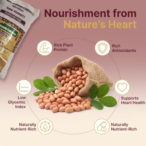 Image of Thirupathy Triple Horse Natural Raw Peanuts | Unprocessed Whole Peanut Kernels for Cooking, Roasting, and Baking | Edible Groundnuts (500 gm)