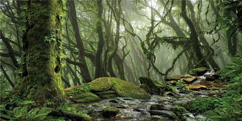 MIRRORANG 61x30cm Foggy Forest Terrarium Background Stream Green Huge Tree Reptile Habitat Background Tropical Rainforest Aquarium Background Vinyl