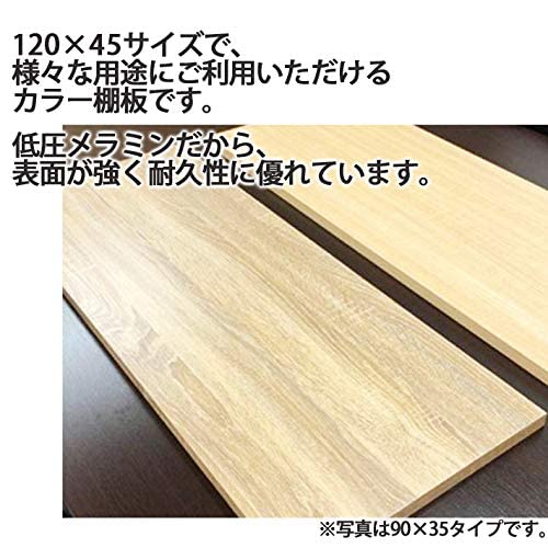 Amazon.co.jp: カラー棚板 1200×450×20 幅120 CTW-1245CMP 1100000028