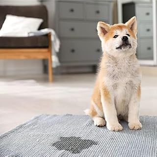 Zep Urine Remover, 32 fl oz - ZUURMV32 - Professional Strength Stain and Odor Eliminator for Hard and Soft Surfaces