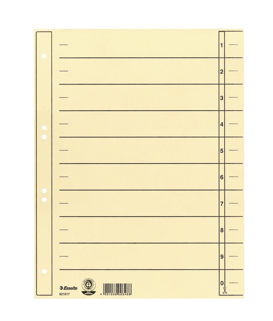 Trennblatt A4 chamois ESSELTE 621017 (300)