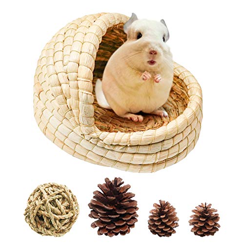 Hay Bed The 16 best products compared Product guide The product