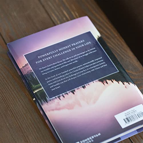 When You Don't Know What to Pray: 100 Essential Prayers for Enduring Life's Storms - Image 11