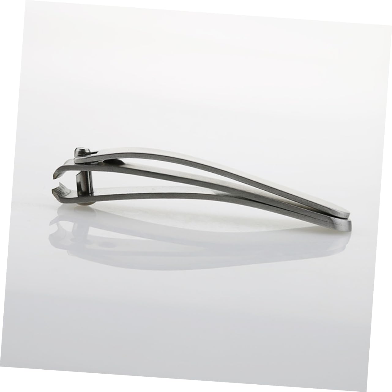 GRIRIW Cat Dog Nail Clippers Large Stainless Steel Professional Angled Easy Trimming Pet Grooming