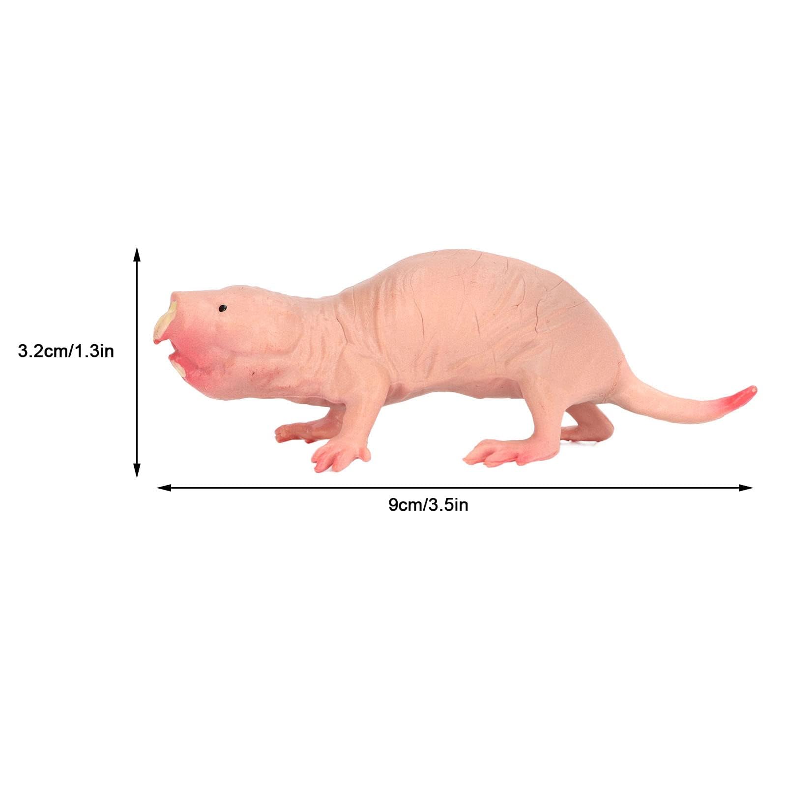 SPYMINNPOO Mole Figurine Toy, Static Mole Model for Kids Sand Play Animal Educational Toys & Home Decorative Ornament - Image 2
