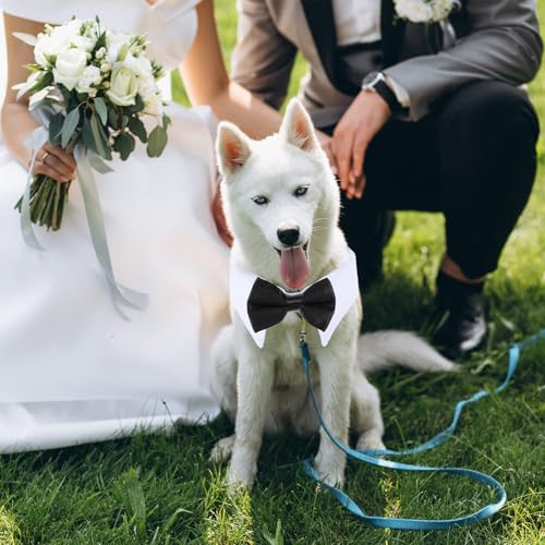 Hund Hochzeit Fliege Für Katzen Und Haustiere - Verstellbare Baumwolle Hundekrawatte Für Geburtstag Und Party