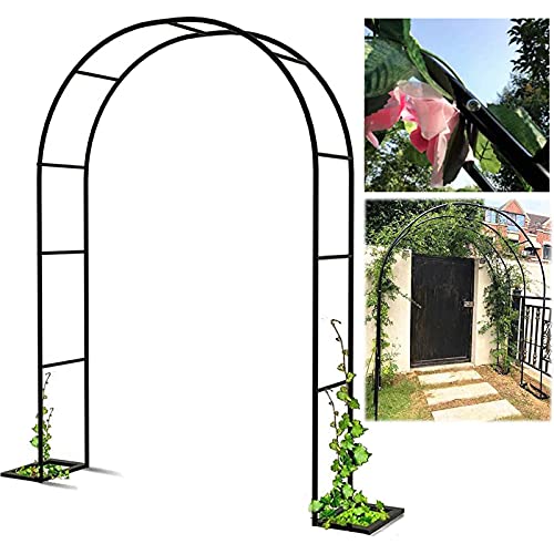 Arche de jardin en fer robuste et pergola élégante résistante aux intempéries - 2