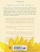 Imperfect Spirituality: Extraordinary Enlightenment for Ordinary People