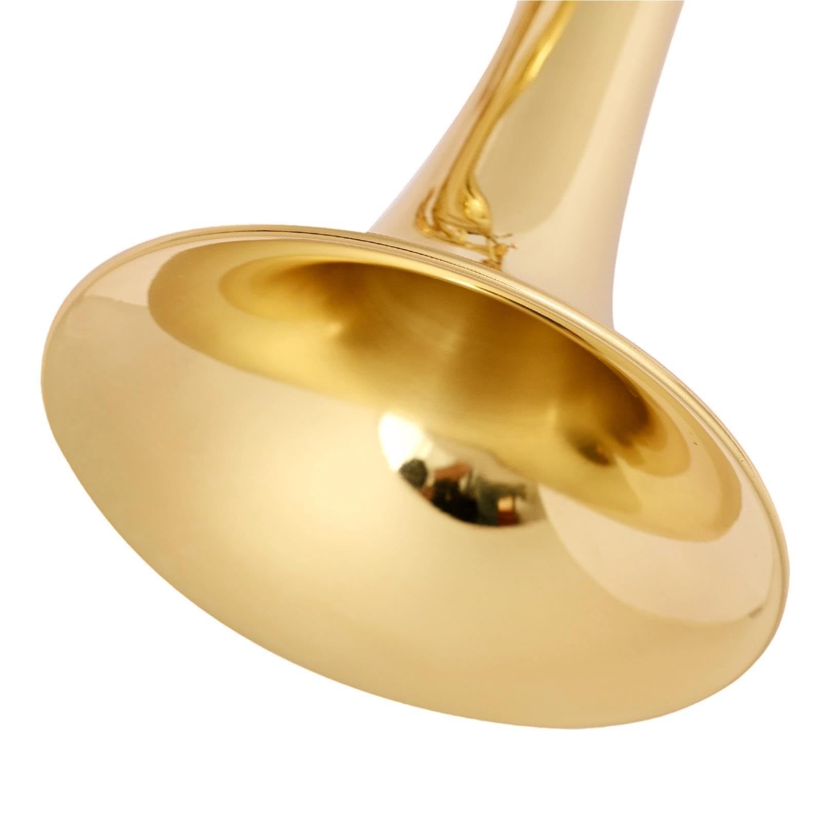 Professional Trumpet Trompeta en Sib para principiantes