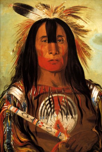 WONDERFULITEMS Buffalo Bull's Back Fat Head Chief Blood Tribe 1832 Blackfoot KAINAI Indian Portrait by George CATLIN 12" X 16" Image Size Print REPRO