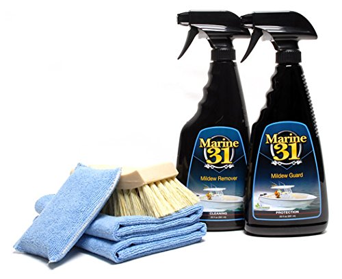 Marine 31 Mildew Remover Combo