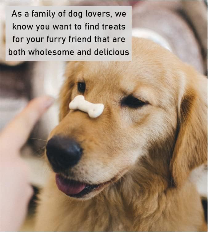 Collagen Chicken Coated Donut (Pack of 10) Natural Dog Chews Treats CCP, 10 count (Pack of 1) - Image 2
