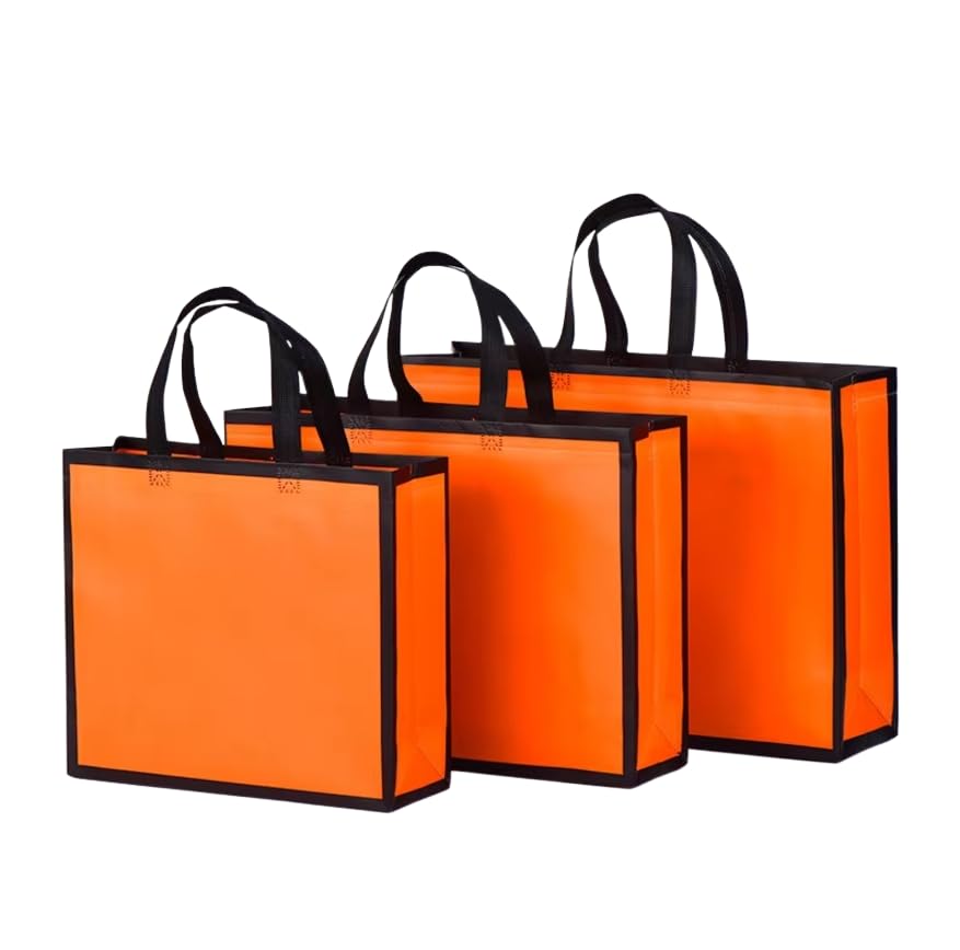 Packingoutlet 24Pcs Laminated Non-Woven Gift Bags Durable Reusable Bags for Business Gifts & Party Favors Eco-Friendly Fabric Bags for Shopping & Events