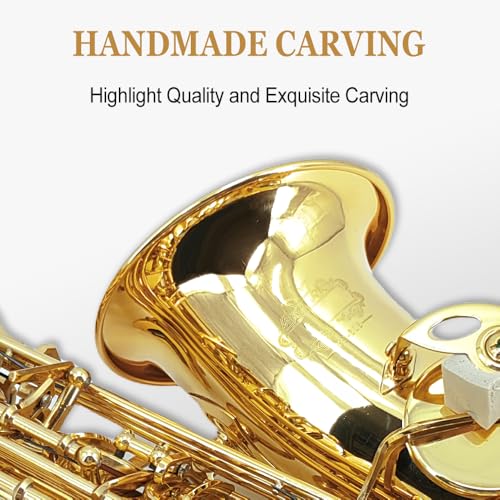alto saxophone beginner kit for adults student saxophone eb professional brass saxophones instrument with sax case mouthpiece reeds gloves cleaning cloth amp brush gold