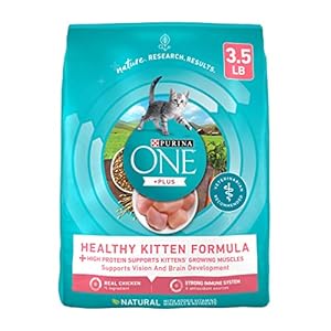 Purina ONE High Protein, Natural Dry Kitten Food, +Plus Healthy Kitten Formula – 3.5 lb. Bag