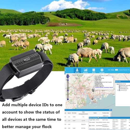TKMARS 4G GPS mit Halsband, geeignet für Hunde/Schaf GPS-Tracker wasserdicht IP66 Wiedergabe historischer Pfad Echtzeit APP ohne ABO Großtiere Finder