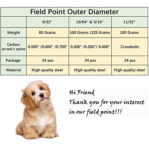 Maifield 24 Pack Archery Bullet Field Points 5/16 Inch 9/32 In 11/32 Inch Practice Heads Small Game Arrow Tips (100 Grain 5/16") #TOP6