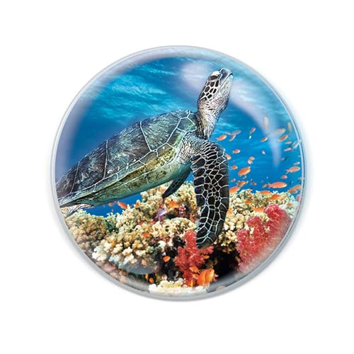 Deluxebase Magnidome Sea Turtle Fridge Magnet – Crystal Glass Dome Animal Magnets for Fridges, Decorative Strong Magnet for Kitchen Accessories, Novelty Gifts and Cute Home Decor.