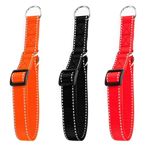 Hunde Design Reflektor Dressurhalsband mit Stoppring Orange 34-54cm / 25mm