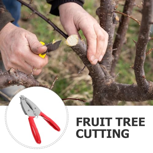 Herramienta ajustable para poda de árboles frutales miniatura 5