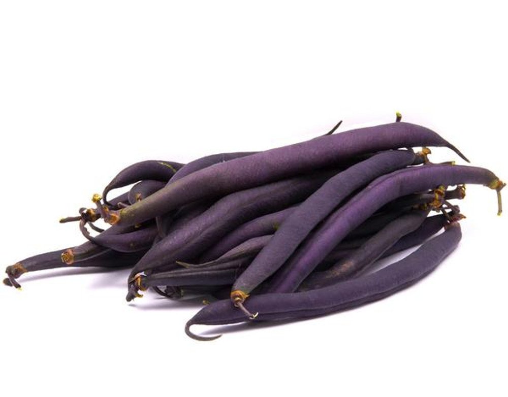 AllThatGrows Purple French Bean Seeds, Pencil Beans, Royal Burgundy Beans 20 Seeds (B073354XNX) Amazon Price History, Amazon Price Tracker