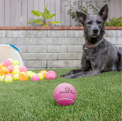Image of Hyper Pet Tennis Balls for Dogs (Safe Dog Tennis Ball for Exercise and Training, Interactive Toys work with Hyper Pet K9 Kannon K2 Launcher - 4 Pack 2.5 inch Pink