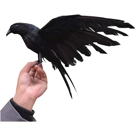 Amazon Sagapo 鬼滅の刃 栗花落 カナヲ 鬼殺隊 烏 カラス コスプレ道具 小物 Cosplay コスチューム コスプレ 仮装 通販