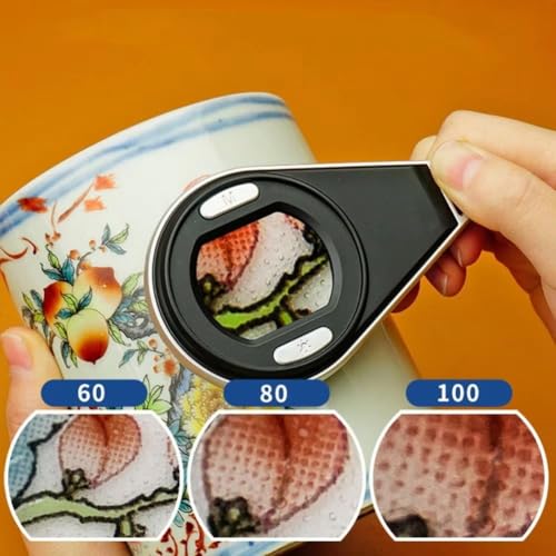 Microscope de poche et loupe numérique 60X à 100X avec affichage clair - 4