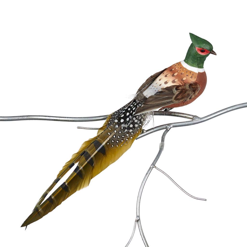 Goodwill: Pheasant Feather Bird on a Clip 32 cm