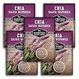 Mexican Chia Seed for Planting - 5 Packets with Instructions to Plant and Grow Mexican Chia in Your Home Vegetable Garden - Non-GMO Heirloom Variety - Survival Garden Seeds