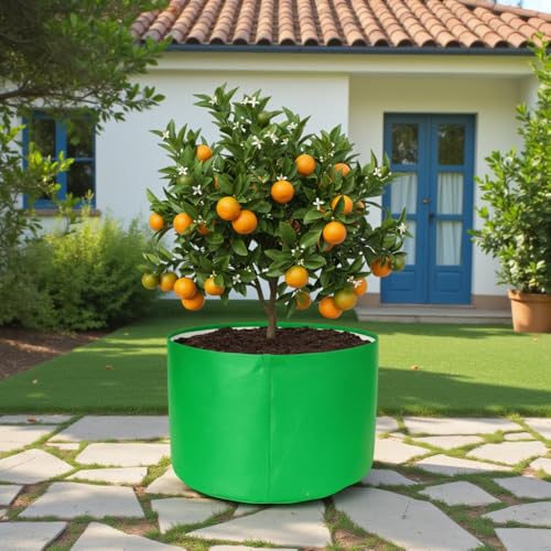 Image of HDPE UV Treated 340 GSM Plant Growing Bags for Terrace Gardening Easy to Use 24 x 15 Inch - Pack of 2