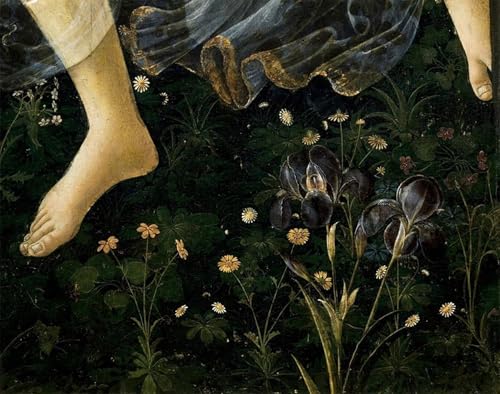 Affiche Le Printemps de Botticelli Impression Toile 60x90cm Décoration Salon