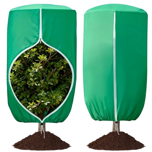 Cubiertas redondeadas para plantas con protección térmica antiheladas exterior 2