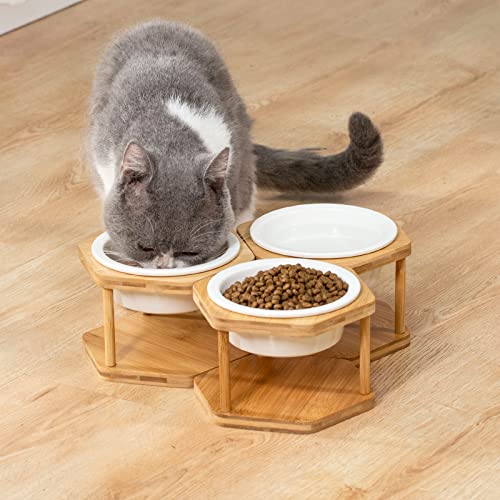 Lusifaco Set Of 3 Single Elevated Cat Bowls, Stainless Steel Raised Cat Food Water Bowl With Bamboo Stand, Pet Dishes Stand Feeder With Anti Slip Feet For Cats And Small Dogs, 13 Oz(Stainless Steel) #TOP4