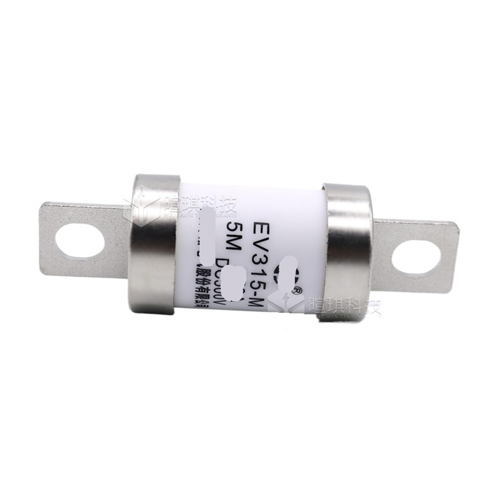 Bezpiecznik EV315-M-5N/M 500V 250 V, 1 sztuka aktualna rura bezpiecznika szybko(EV315-M-5N-300A)