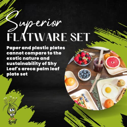 Shy Leaf Disposable Bamboo Plates (60 Plates) + 120 Piece Wooden Cutlery Set - 6 Inch & 10 Inch Palm Leaf Plates - Party Plates - 100% Biodegradable & Eco Friendly Compostable Plate Set #TOP5