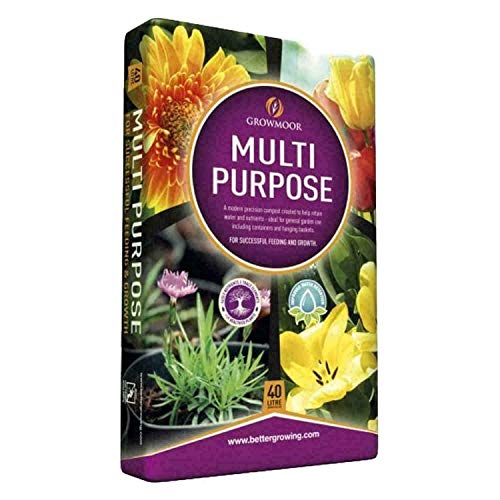 How to grow alstroemeria in pots How to grow alstroemeria in pots