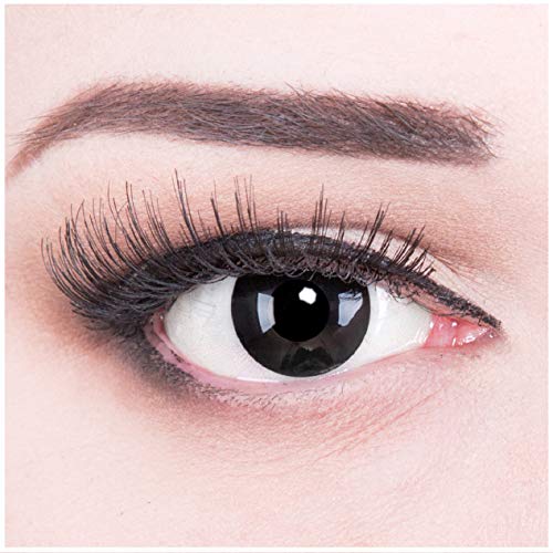 Lentilles couleur noir - black out. Pour Halloween, Shrovetide, Carnaval + étuis à lentilles de contact I 1 paire (2 pièces) I sans correction I 0,00 Dioptries MERALENS - Image 5