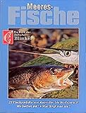 Meeresfische