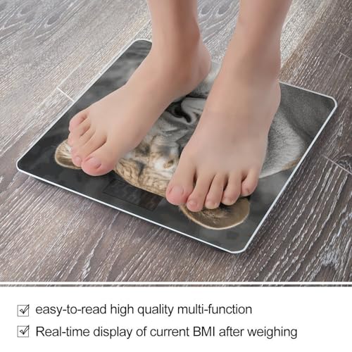 Báscula Digital de Vidrio Templado Lioness 400lb miniatura 5
