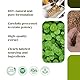 H&C Gotu Kola (Centella Asiatica) Kapseln - 900mg pro Portion, 120 Stück | für Gedächtnis und Konzentration
