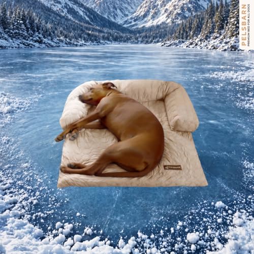 Pelsbarn Cooling Dog Bed - Ice Silk Summer Comfort Self Cooling Non-Slip Dog Cover Durable & Washable Bed for Extra Large Dogs 36 x 38 Support Shelter Dogs with Every Purchase (Beige)
